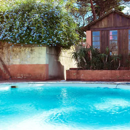 Shepinetree - Capela House Sintra