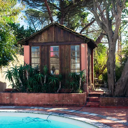 Villa Shepinetree - Capela House